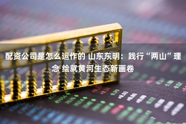 配资公司是怎么运作的 山东东明：践行“两山”理念 绘就黄河生态新画卷